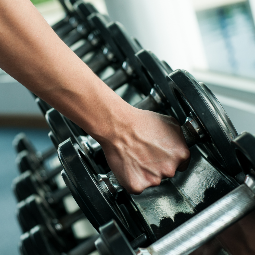 Fitness